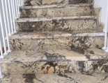 Đá Granite